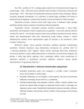 Demokratijos esmė ir vystymasis 9 puslapis