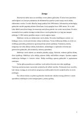 Disertacinio tyrimo interpretacija vadybos teorijos požiūriu 3 puslapis