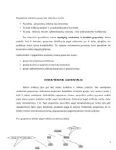 Duomenų grupavimas 4 puslapis