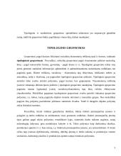 Duomenų grupavimas 5 puslapis