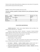 Duomenų grupavimas 6 puslapis