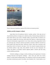 Atmosferos ir oro teršimas  11 puslapis