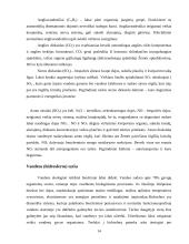 Atmosferos ir oro teršimas  14 puslapis