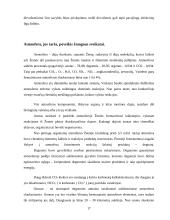 Atmosferos ir oro teršimas  17 puslapis