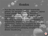 Elementarios  dalelės 12 puslapis