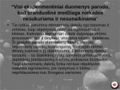 Elementarios  dalelės 13 puslapis