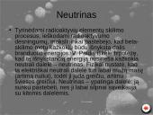 Elementarios  dalelės 5 puslapis