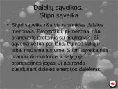 Elementarios  dalelės 7 puslapis