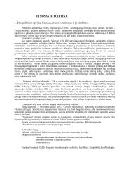 Etnosas ir politika. Referatas