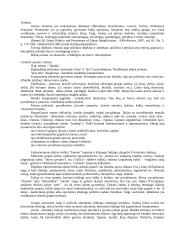 Etnosas ir politika. Referatas 2 puslapis