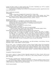 Etnosas ir politika. Referatas 11 puslapis