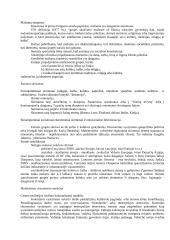 Etnosas ir politika. Referatas 12 puslapis