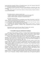 Etnosas ir politika. Referatas 13 puslapis