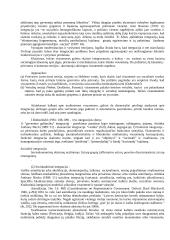 Etnosas ir politika. Referatas 14 puslapis