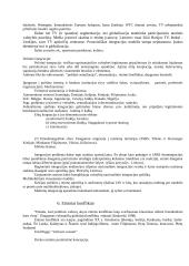 Etnosas ir politika. Referatas 16 puslapis