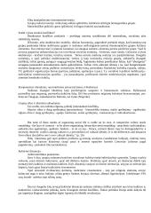 Etnosas ir politika. Referatas 17 puslapis