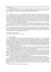 Etnosas ir politika. Referatas 19 puslapis