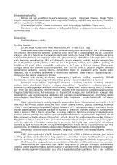 Etnosas ir politika. Referatas 20 puslapis