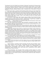 Etnosas ir politika. Referatas 3 puslapis