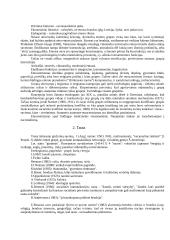 Etnosas ir politika. Referatas 4 puslapis