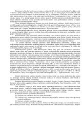 Etnosas ir politika. Referatas 5 puslapis