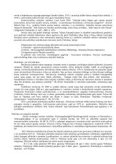 Etnosas ir politika. Referatas 7 puslapis