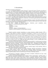 Etnosas ir politika. Referatas 8 puslapis