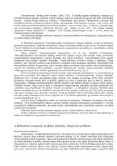 Etnosas ir politika. Referatas 10 puslapis