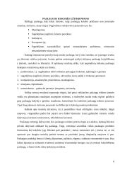 Įmonės paslaugų įvertinimas: sporto klubas "Vikondos Liūtai" 8 puslapis