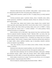 Įmonės rinkodaros planas: blyninė UAB "Grietinėlė" 2 puslapis