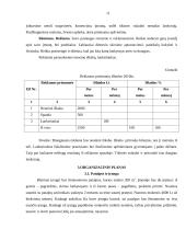 Įmonės rinkodaros planas: blyninė UAB "Grietinėlė" 11 puslapis