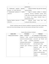 Įmonės rinkodaros planas: blyninė UAB "Grietinėlė" 7 puslapis