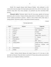 Įmonės rinkodaros planas: blyninė UAB "Grietinėlė" 8 puslapis