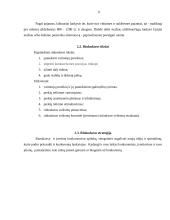 Įmonės rinkodaros planas: blyninė UAB "Grietinėlė" 9 puslapis