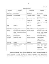 Įmonės rinkodaros planas: blyninė UAB "Grietinėlė" 10 puslapis