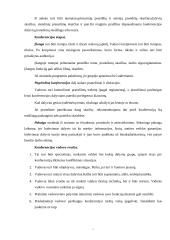 Komunikacijos svarba versle 13 puslapis