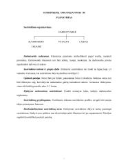 Komunikacijos svarba versle 14 puslapis