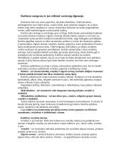 Kultūra ir mikrokultūros 2 puslapis