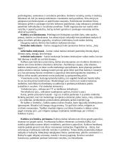 Kultūra ir mikrokultūros 4 puslapis