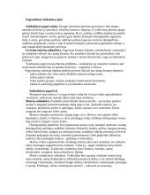 Kultūra ir mikrokultūros 7 puslapis