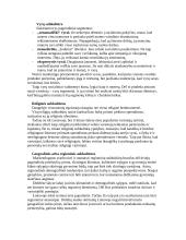 Kultūra ir mikrokultūros 8 puslapis