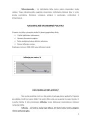 Lietuvos ekonominė politika 3 puslapis