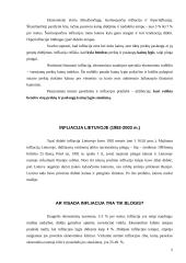 Lietuvos ekonominė politika 4 puslapis