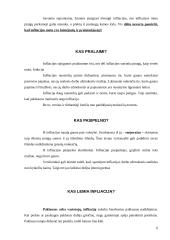 Lietuvos ekonominė politika 5 puslapis