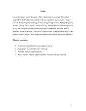 Masinė kultūra Lietuvoje 4 puslapis