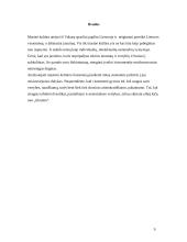 Masinė kultūra Lietuvoje 9 puslapis