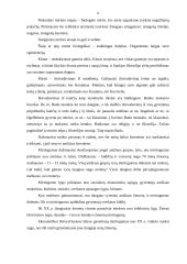 "Mirties link" filosofija 8 puslapis