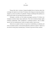 "Mirties link" filosofija 10 puslapis