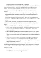 Muitinės procedūros 11 puslapis