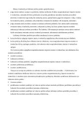 Muitinės procedūros 13 puslapis